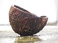 A cut coconut shell