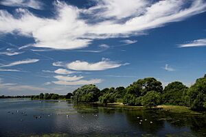 Abberton Reservoir - geograph.org.uk - 218063
