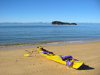 Abel tasman sea kayaking.jpg