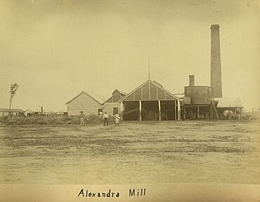 Alexandra Sugar Mill, near Mackay, circa 1880.jpg