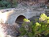 Alchesay Canyon Bridge