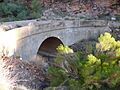 Arizona - Alchesay Canyon Bridge - 2