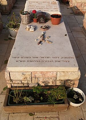 Avraham Avigdorov's grave