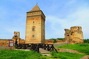 Bačka tvrđava - panoramio (10)