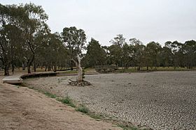 Balyang-sanctuary-geelong