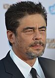 Benicio Del Toro - Guardians of the Galaxy premiere - July 2014 (cropped)