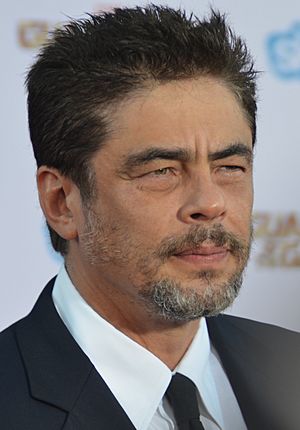 Benicio Del Toro - Guardians of the Galaxy premiere - July 2014 (cropped).jpg