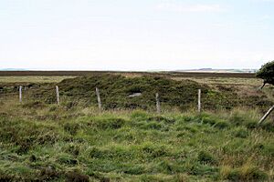 Black Barrow - geograph.org.uk - 857491