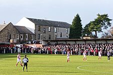 Bonnyrigg Red Rose 0 Brechin City 6