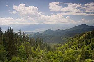 Borjomi mountains