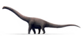 Bruhathkayosaurus matleyi updated