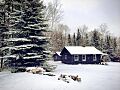 BulldogCampsWinterCabins