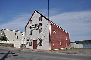 CarbonearNL RorkeStore