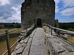 Cilgerran Castle H3a