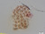 Collection Penard MHNG Specimen 99-1-3 Chlamydomyxa montana.tif
