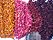Colored quinoa Genebank INIA Juliaca.JPG