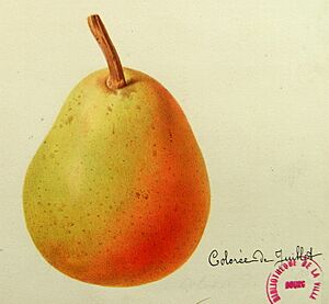 Coloreedejuillet-26-A.Mas,1867