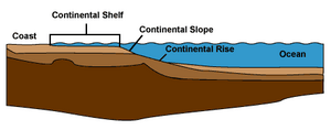 Continental shelf