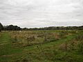 Cornmill Meadows