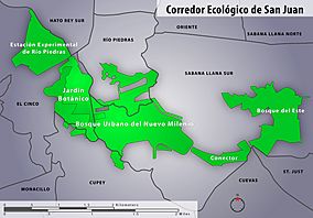 Corredor Ecológico de San Juan.jpg