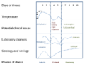 Course of Dengue illness vectorized
