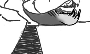 Dinichthys herzeri jaw