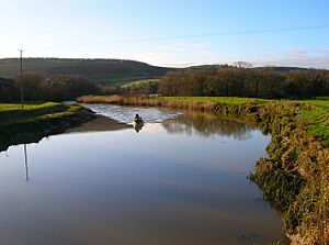 Disturbing the Water, River Arun - geograph.org.uk - 644044