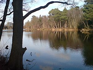Douster Pond - geograph.org.uk - 1129307