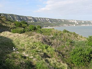 East Cliffs and Warren Country Park - geograph.org.uk - 1287581.jpg