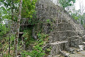 El Mirador 3