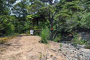 Entry to Te Puru Track