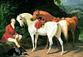 Frederick August Wenderoth, A Winner