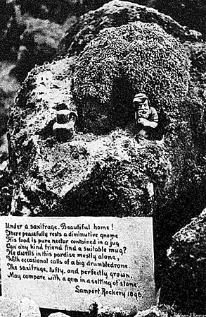 Gnomes Lamport Hall 1898