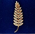 Gold Olive Branch Left on the Moon by Neil Armstrong - GPN-2002-000070