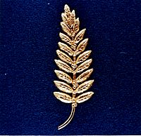 Gold Olive Branch Left on the Moon by Neil Armstrong - GPN-2002-000070