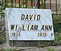 Grave 24 16 213 David - William & Ann