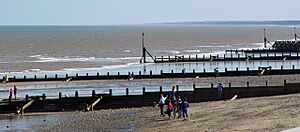 Groynes on Hornsea Sands - geograph.org.uk - 1059682