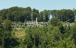 The Halen development (Siedlung Halen) in summer