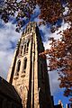 Harkness Tower in autumn