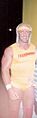 Hulkhogan1988