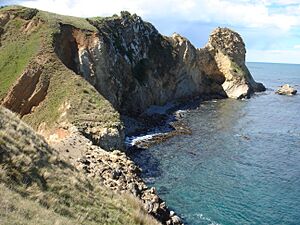 Huriawa Peninsula Karitane Otago