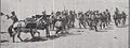 IWM Q12508