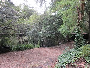 Jack House, 62 Boundary Road, Wahroonga 01.jpg