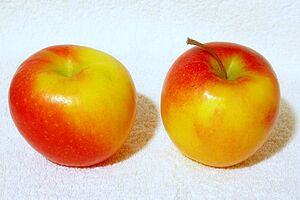 Jazz apples