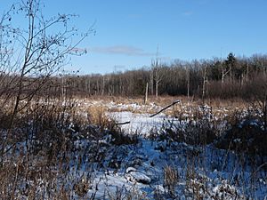Much of Lawrence is wild land, accessed only by hunters and winter loggers who drive in over frozen swamps.
