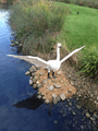 Lego swan sculpture at London Wetland Centre
