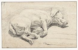 Liggende hond, slapend, RP-T-1949-529