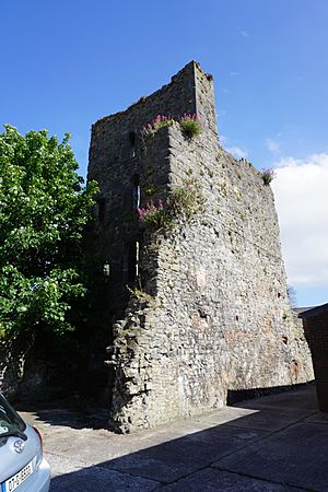 Limerick, Fanning's Castle (2).jpg