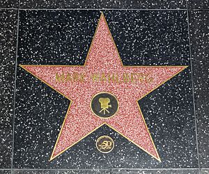 Los Angeles (California, USA), Hollywood Boulevard, Mark Wahlberg -- 2012 -- 4984