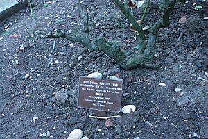 Marker for the ashes of Mark Feld (Marc Bolan) and his parents, Golders Green Crematorium